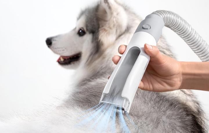 Actual product image HomeRunPet Odkurzacz / Zestaw do pielęgnacji sierści zwierząt HC15 (Cat, Dog)