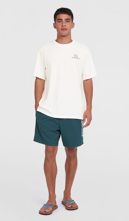 Immagine prodotto O'Neill CALI 16" SWIMSHORTS (XS)