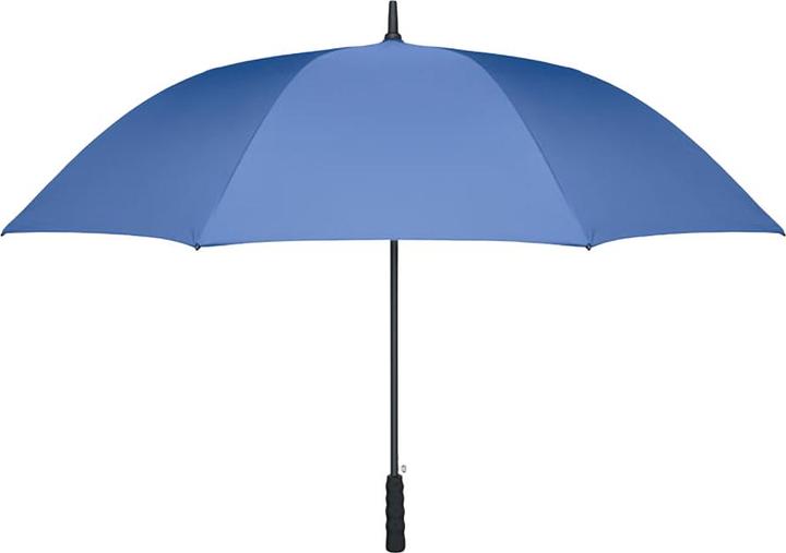Bleu roi