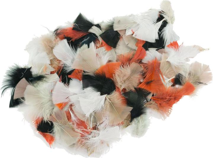 Teintures - Plumes naturelles 85 grammes, 750 pièces.