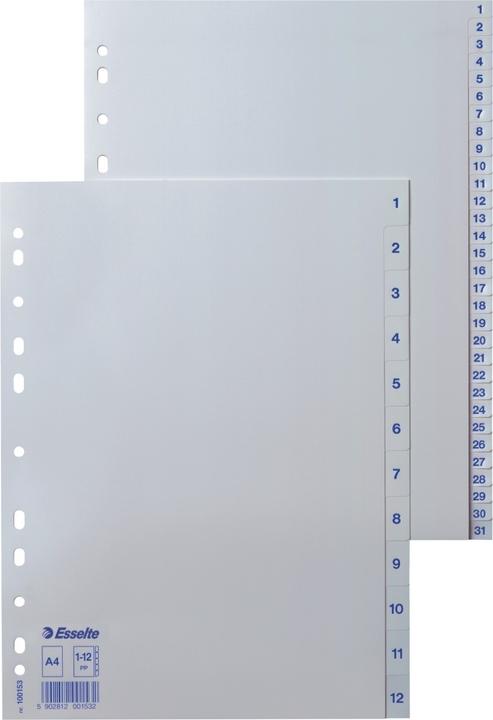 Immagine prodotto Leitz Registri in plastica Esselte, numeri, A4, 1-12, perforazione universale bianca, dimensioni: (L)225