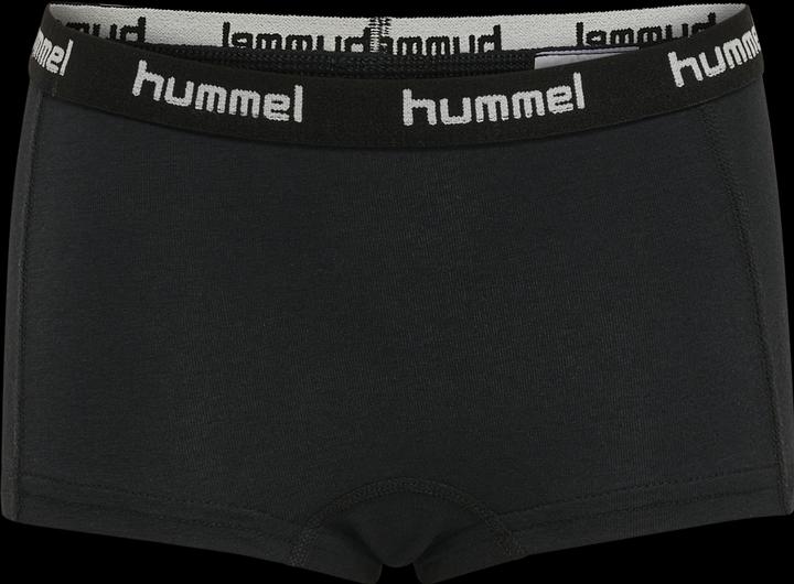 Image du produit hummel Hmlcarolina Hipsters 2-Pack (104, lot de 2)