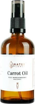 Produktbild NoName NATUR PLANET Olej marchewkowy 100ml (Körperöl, 100 ml)