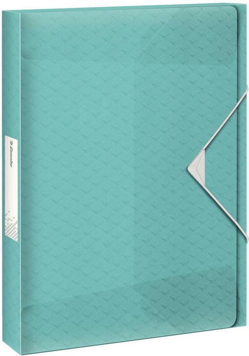 Esselte Ablagebox (A4, 1 x)