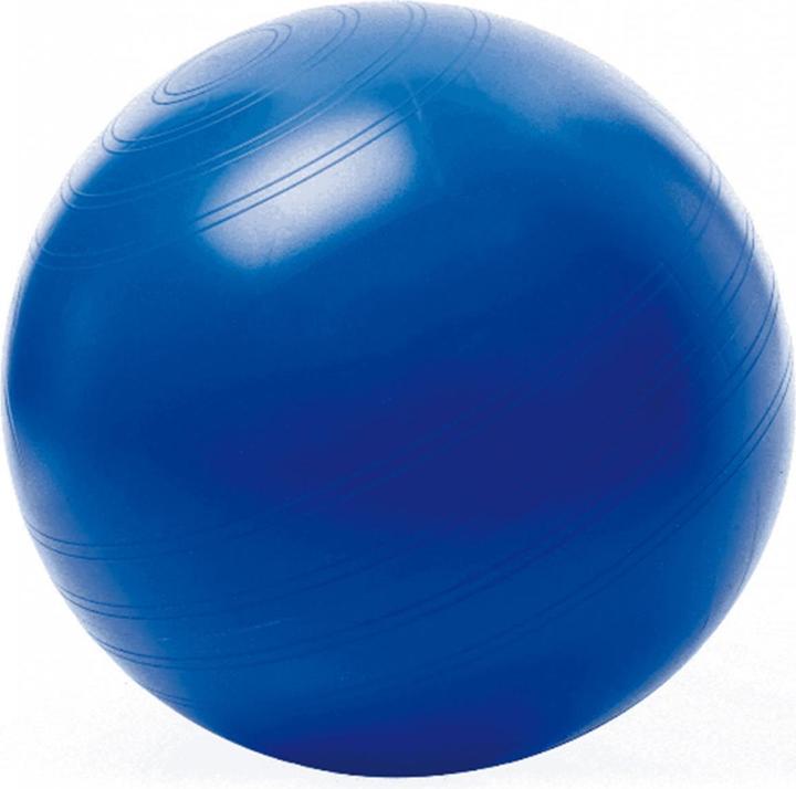 Image du produit Togu Seatball (75 cm)