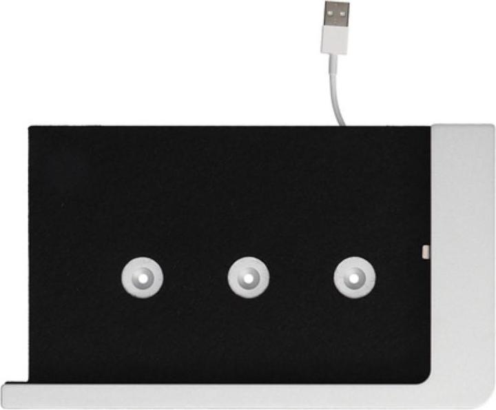 Actual product image Viveroo Premium-Wandhalterung - f?r iPad? Mini 4&5 - Super Silver (Silber)