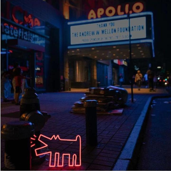 Immagine prodotto YellowPop Keith Haring Cane che abbaia (5 lm)