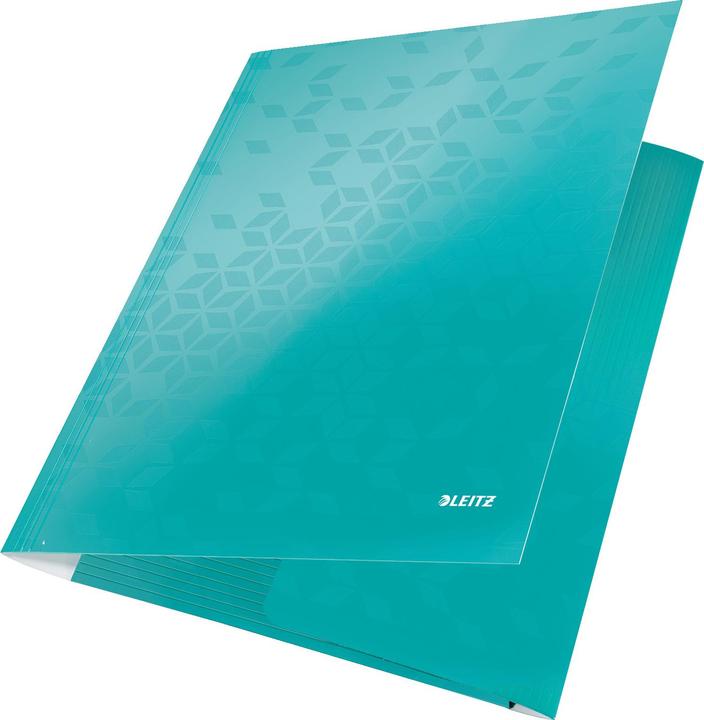 Actual product image Leitz WOW corner folder (A4, 1 x)