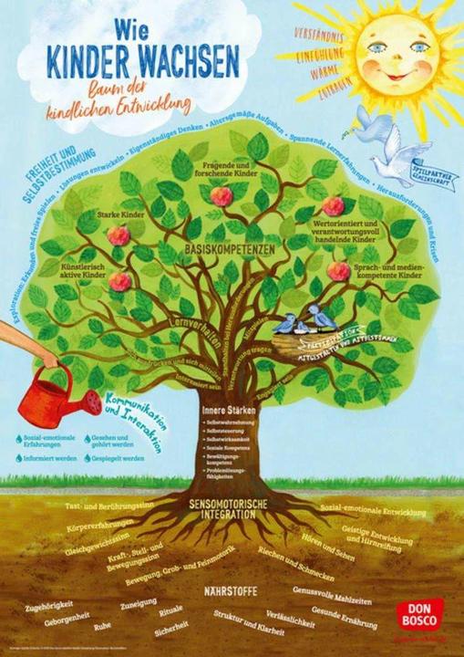 Produktbild Wie Kinder wachsen - Baum der kindlichen Entwicklung (Deutsch, Sybille Schmitz, 2018)
