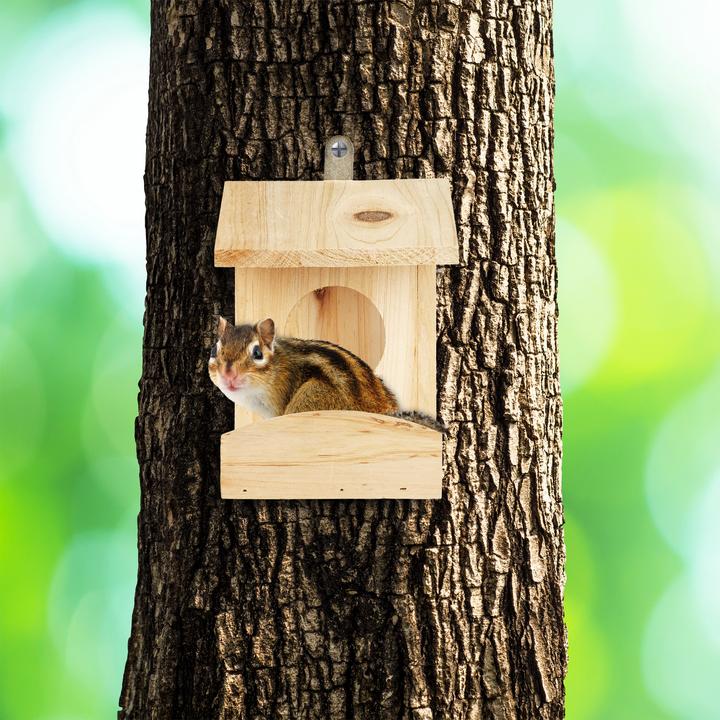 Produktbild Relaxdays Eichhörnchen Futterhaus