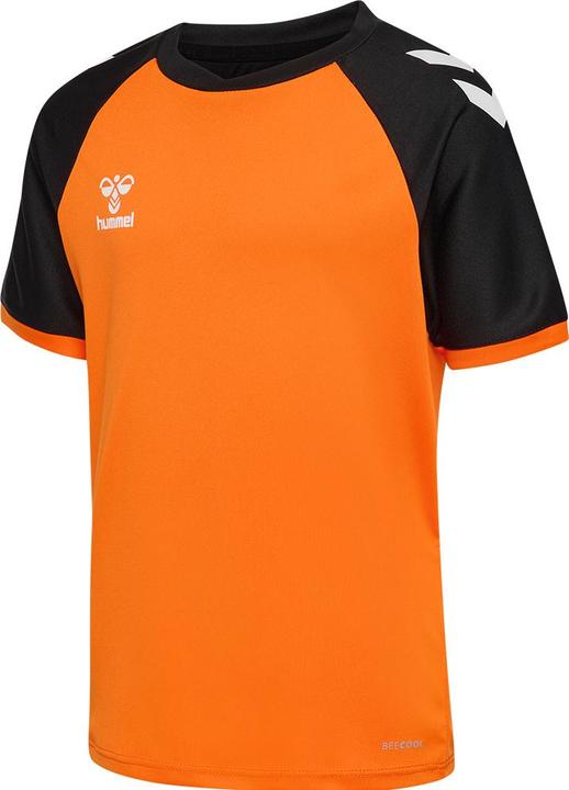 orangetigerblack