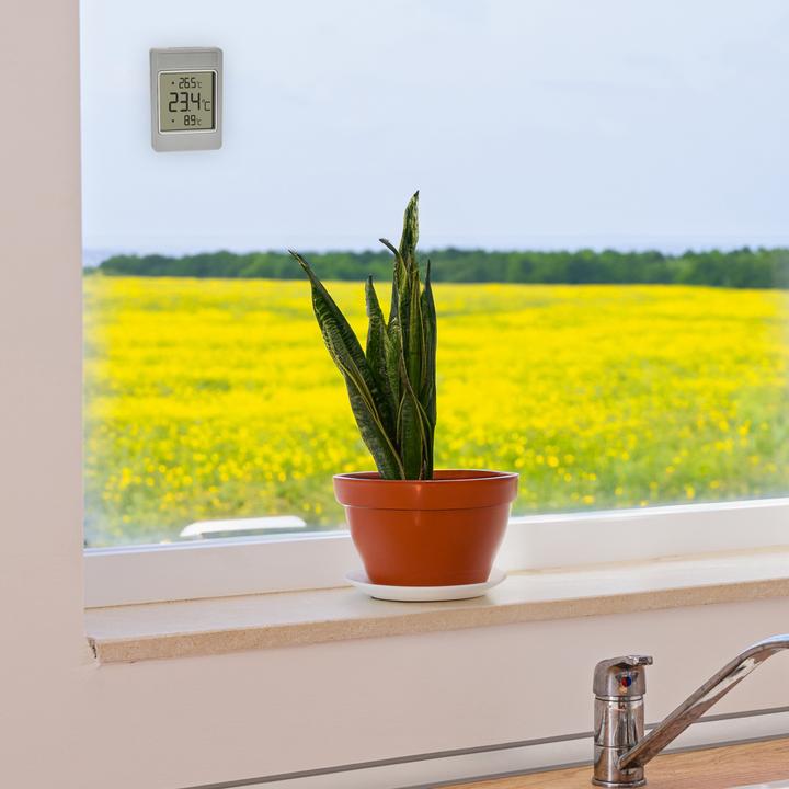 Actual product image TFA Windoo