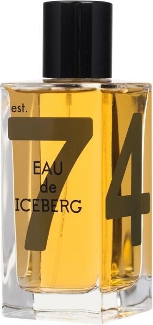 Immagine prodotto Iceberg Ambra (Eau de toilette, 100 ml)