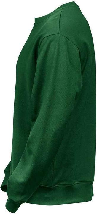 Immagine prodotto Tee Jays Felpa Power in cotone organico (4XL)