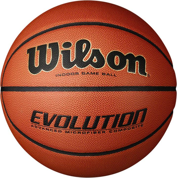 Wilson Basket-ball (7)