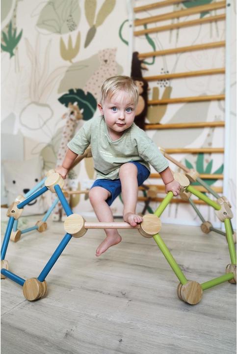 Actual product image small foot Climbing Geodome "Adventure"