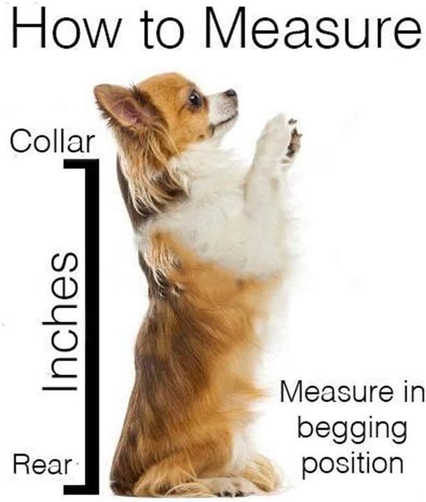 Image du produit Flkennel Sac à dos pour chien (Chien, Ouverture complète, Respirant)