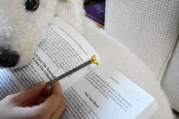 Produktbild MTM Bookmark Leopard