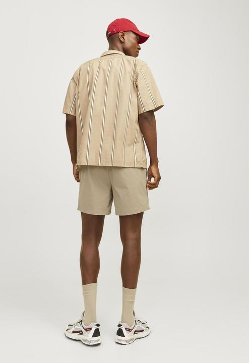 Actual product image Jack & Jones RDD Jogging Shorts (L)