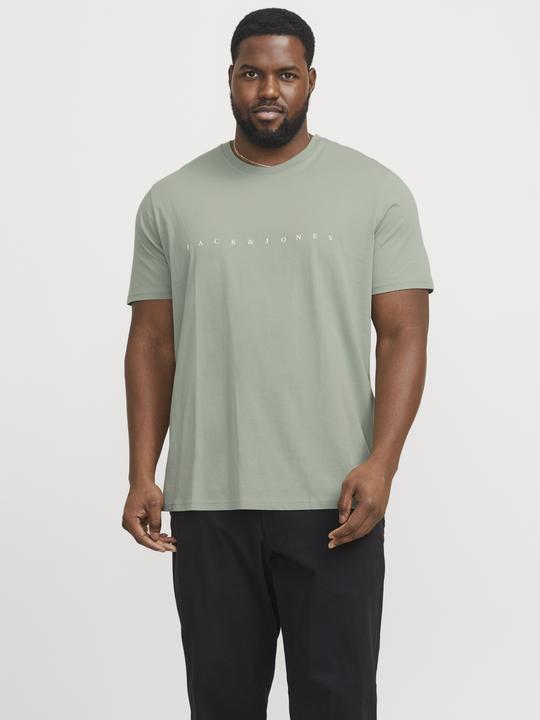 Actual product image Jack & Jones Jjestar Jj Tee Ss Noos Pls (4XL)