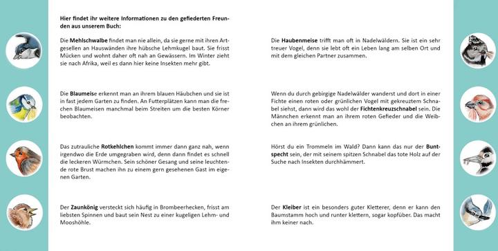 Produktbild Farverig Sturmvogel (Deutsch, Inga Haferstroh, Rabea Funk, 2021)