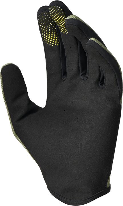 Actual product image iXS Carve gloves (XL)
