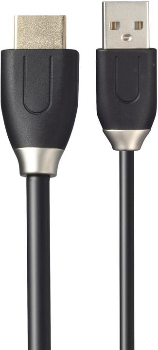 Actual product image Viewsonic VB-WPS-003 (Device-specific remote control, Wi-Fi)