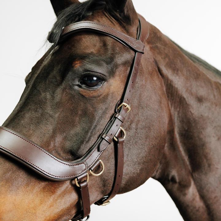Produktbild Fouganza Gebisslose Trense Pferd/Pony braun