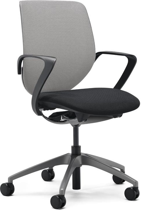 Giroflex 313-8039