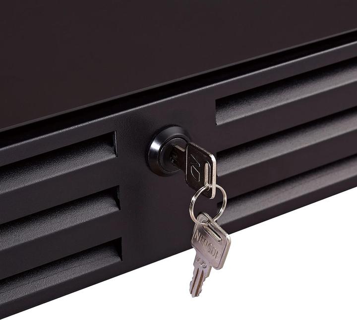Image du produit Swisscave WL455DF
