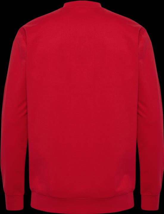 Immagine prodotto hummel FELPA HMLGO 2.0 (M)