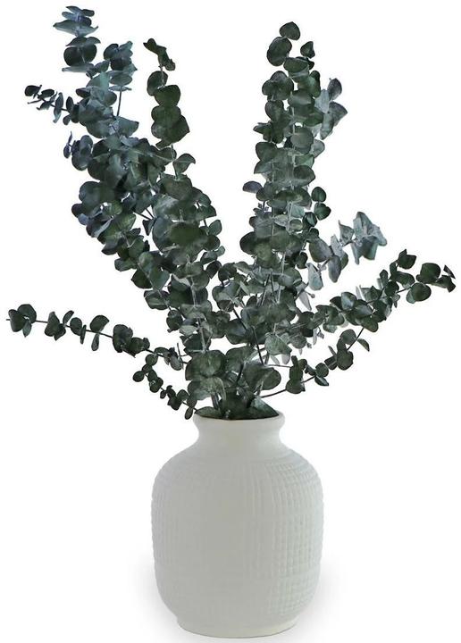 Soli Collection Fiori secchi (Fiori secchi)