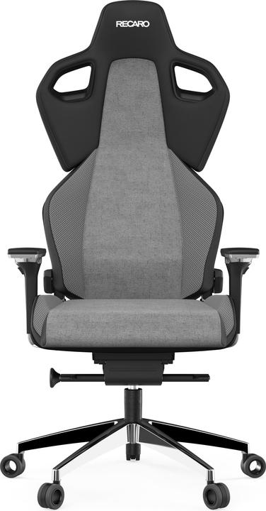 Actual product image RECARO Exo Platinum