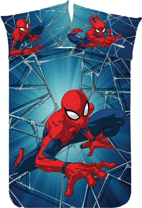 Disney Spiderman Net