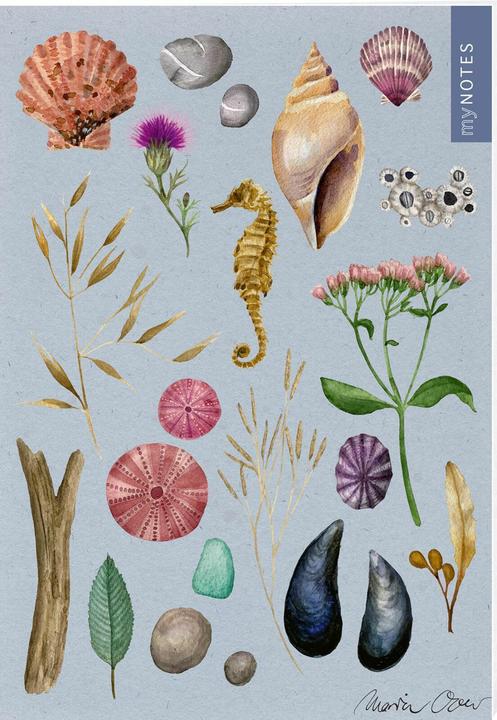 Image du produit myNOTES Papeterie : Cahier de notes Nature (A5, À rayures)
