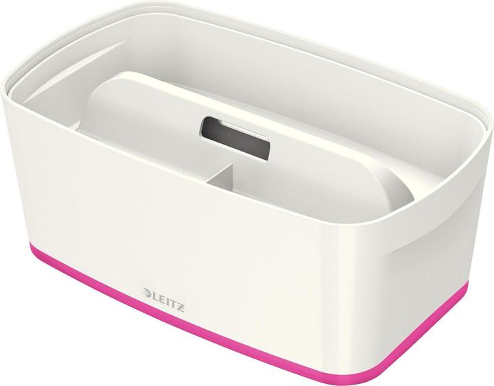 Immagine prodotto Leitz MyBox (31,8 x 12,8 x 19,1 cm, 5 l)