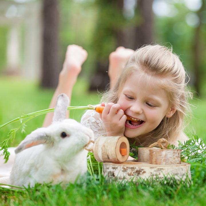 Actual product image Relaxdays Rabbit activity-toy