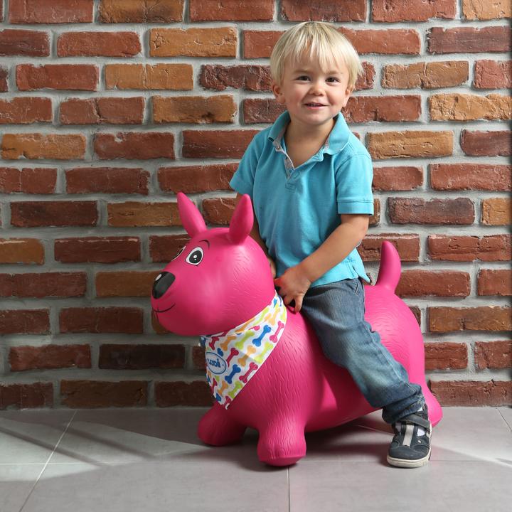 Actual product image LUDI Bouncing dog