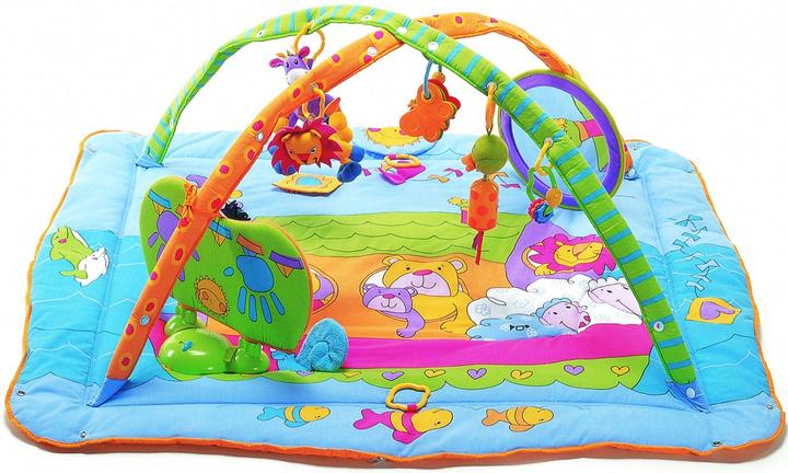 Tiny Love Gymini Total Playground Kick and Play