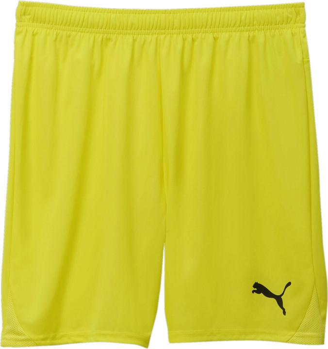 Immagine prodotto Puma pantaloncini TeamGOAL (L)