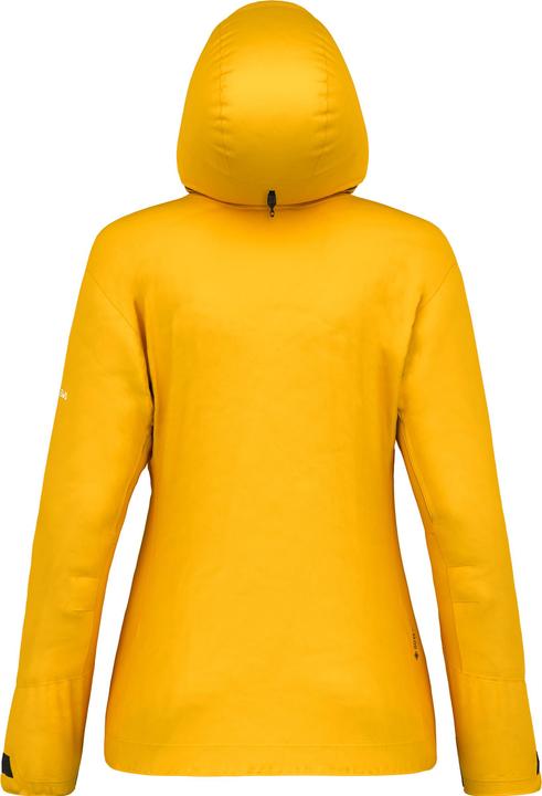 Immagine prodotto Salewa GIACCA ORTLES GTX 3L Donna (34, XS)