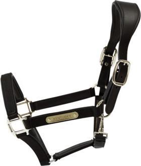 Kentucky Horsewear Anatomisches Halfter