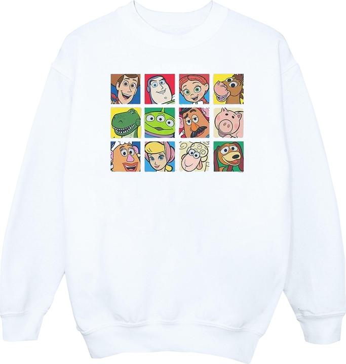 Disney Toy Story Character Squares Sweatshirt (XL)