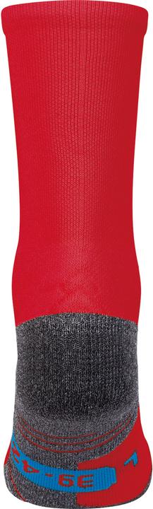 Actual product image JAKO TRAINING SOCKS (43 - 46) (43 - 46)