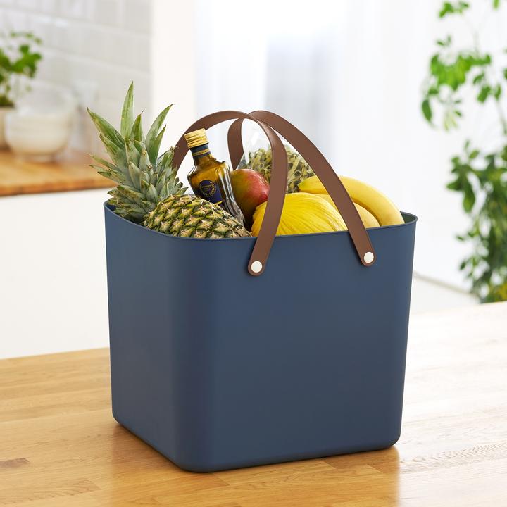 Image du produit Rotho Multibag "classic" 40 l ALBULA
