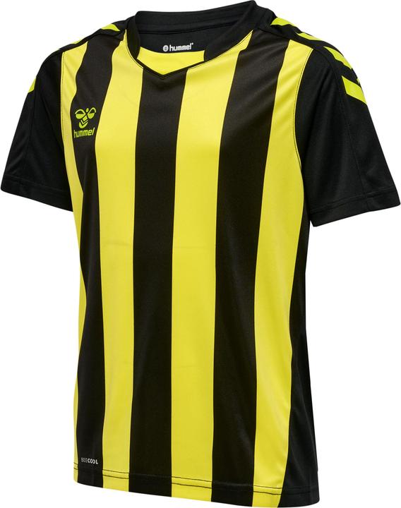 Image du produit hummel Core Xk Striped Jersey Kids S/S (164)