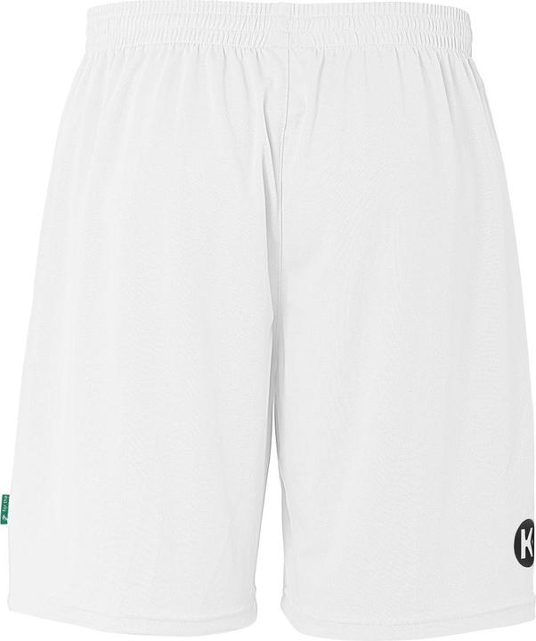Actual product image Kempa Team Shorts (XL)