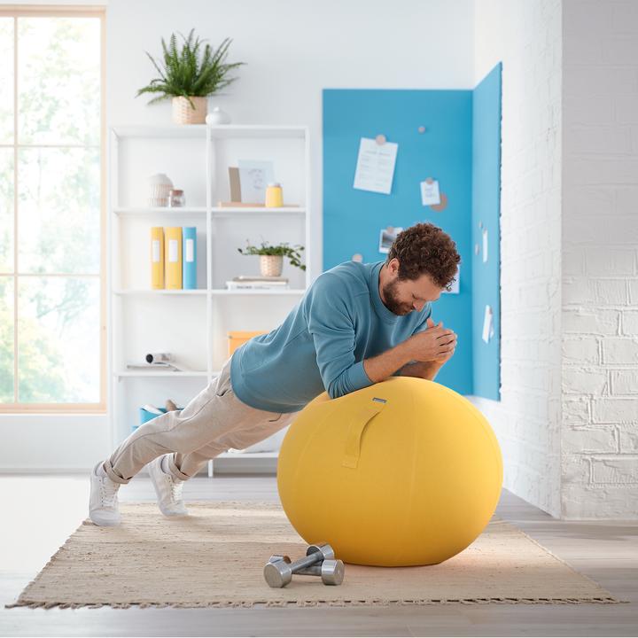 Produktbild Leitz Ergo Cosy Active Sitzball (65 cm)