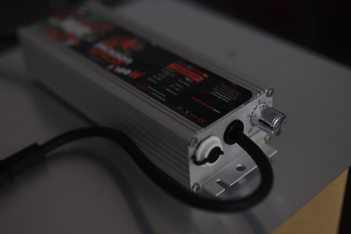 Image du produit The Jungle The Jackson LT 250W (LED)