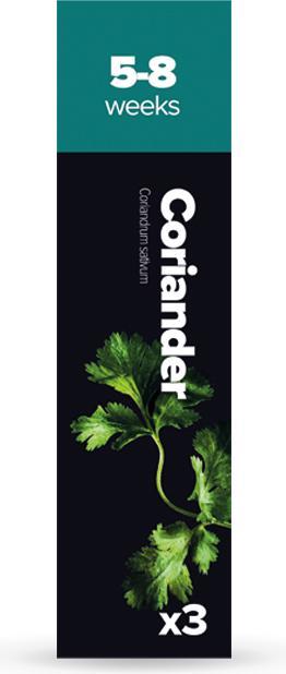 Immagine prodotto Plantui Coriandolo (Semi di erbe)